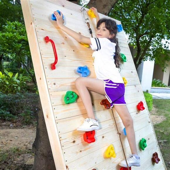 20 PCS Rock Climbing Holds for Kids, Rock Wall Holds with 9.8 Ft Climbing Rope a